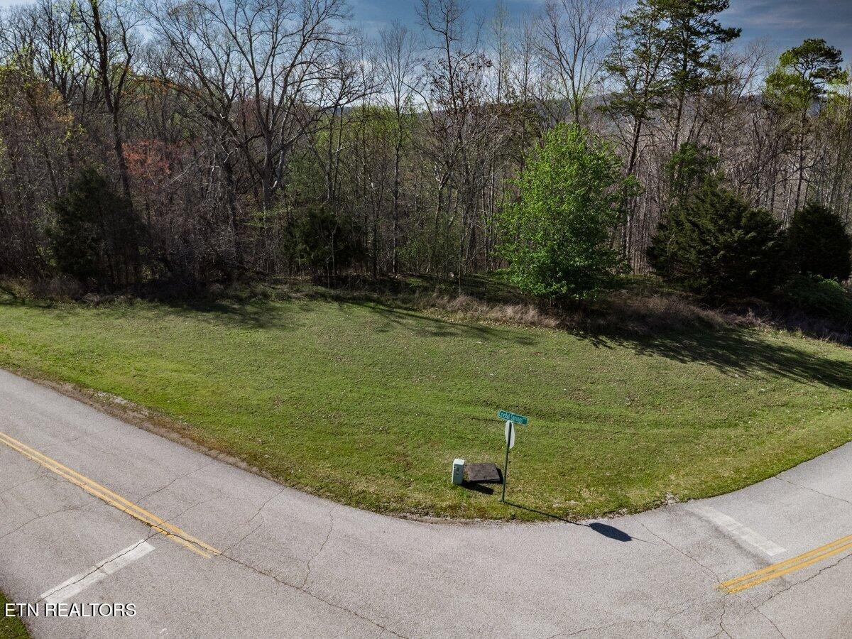 0 Crystal Springs Road Rockwood, TN 37854 - Photo 6 of 19 a view of a golf ground with large trees