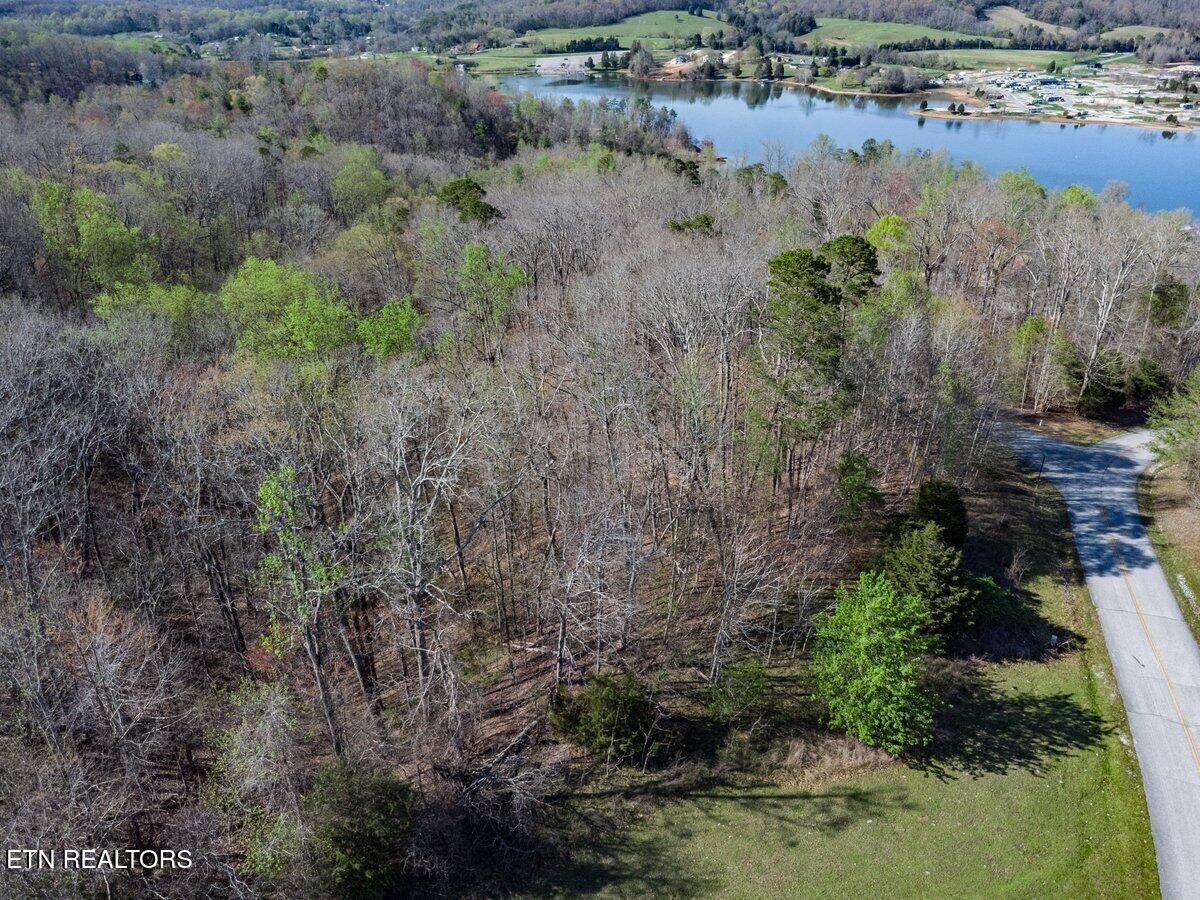 0 Crystal Springs Road Rockwood, TN 37854 - Photo 7 of 19 a view of a lake view
