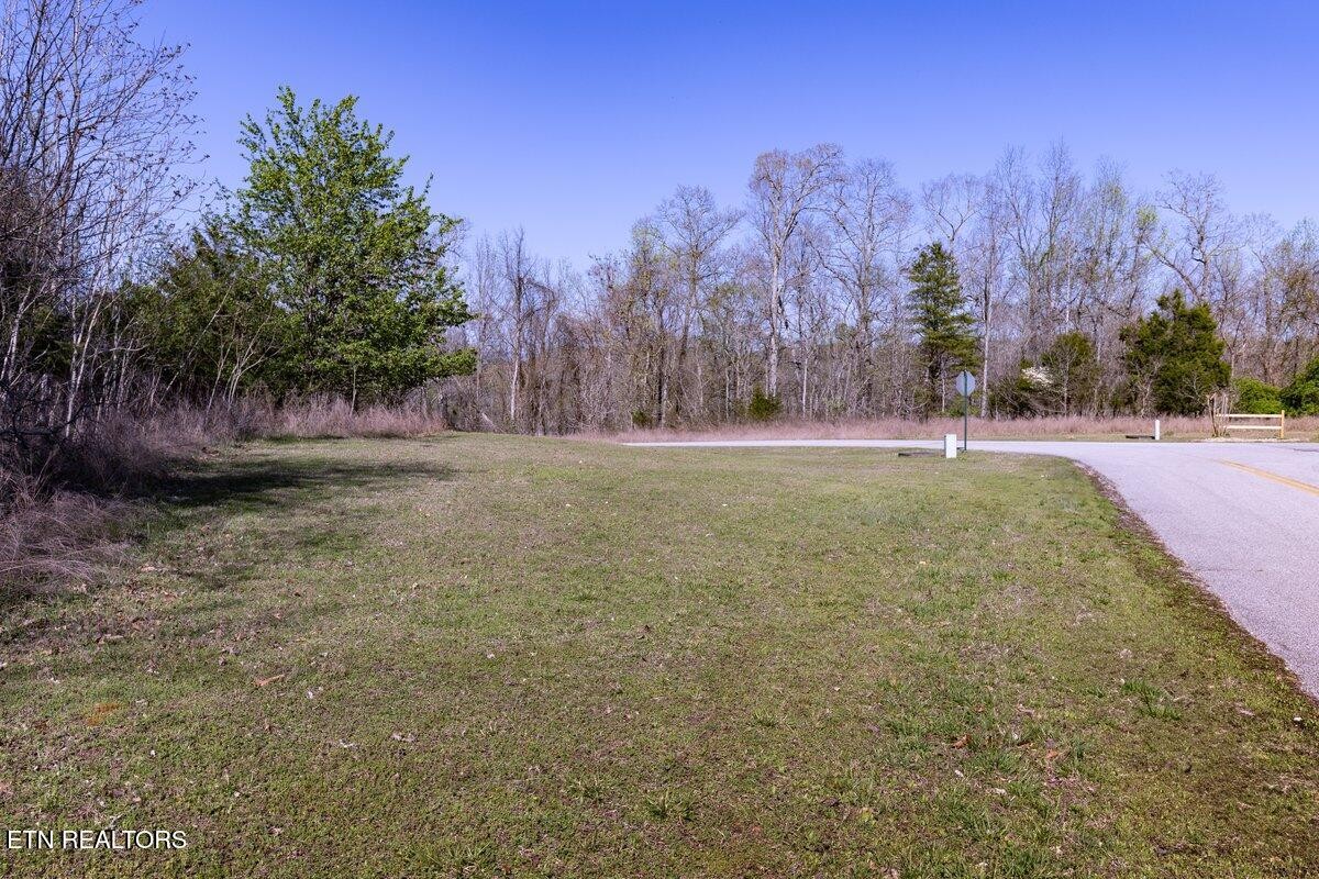 0 Crystal Springs Road Rockwood, TN 37854 - Photo 8 of 19 a view of a yard with a tree