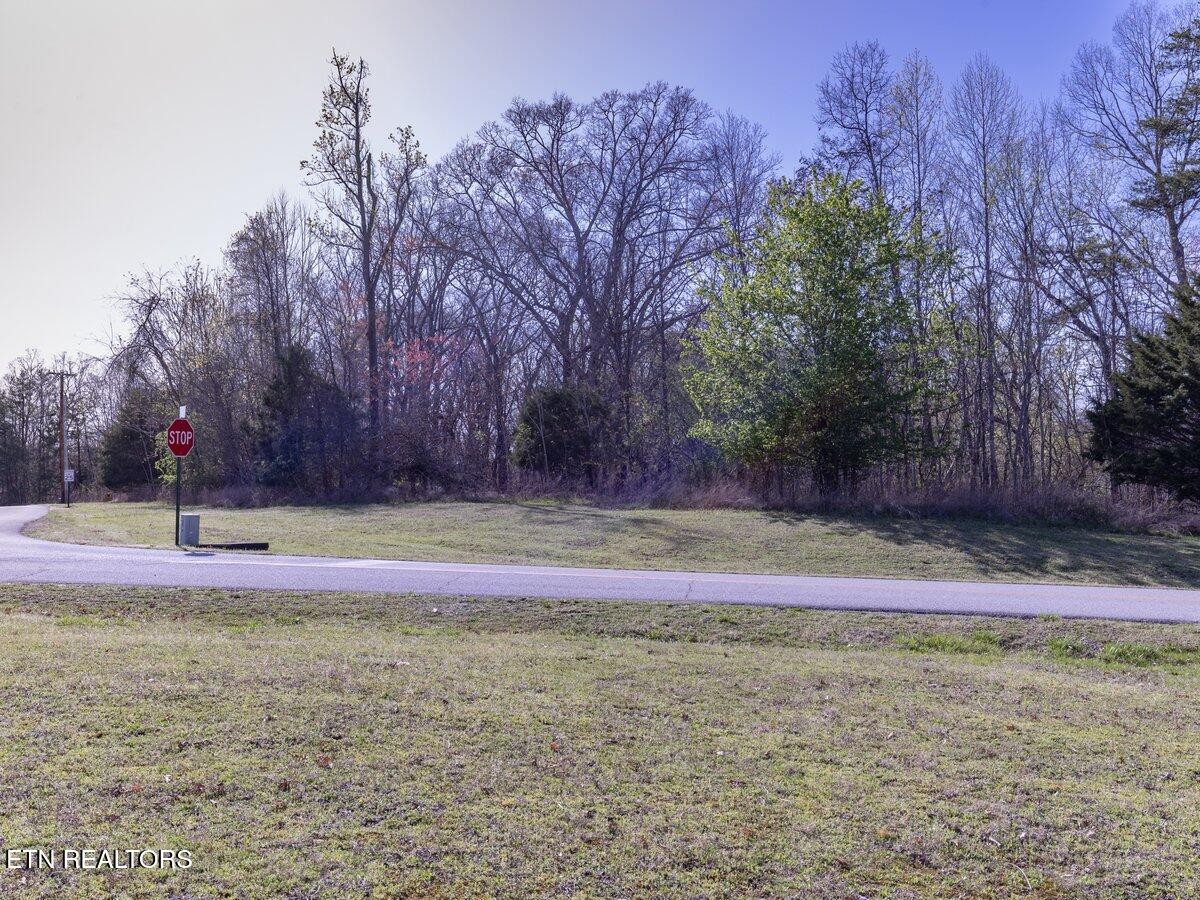 0 Crystal Springs Road Rockwood, TN 37854 - Photo 9 of 19 a view of a yard