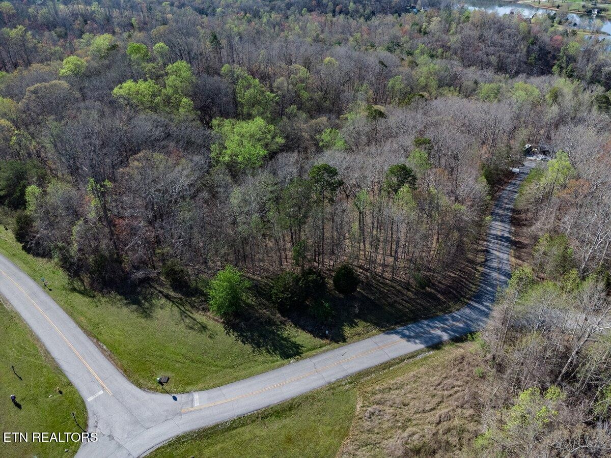 0 Crystal Springs Road Rockwood, TN 37854 - Photo 10 of 19 a view of a garden with a pathway