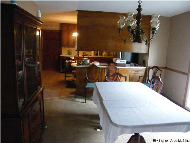 3018 Mount Olive Road Mount Olive, AL 35117 - Photo 5 of 23