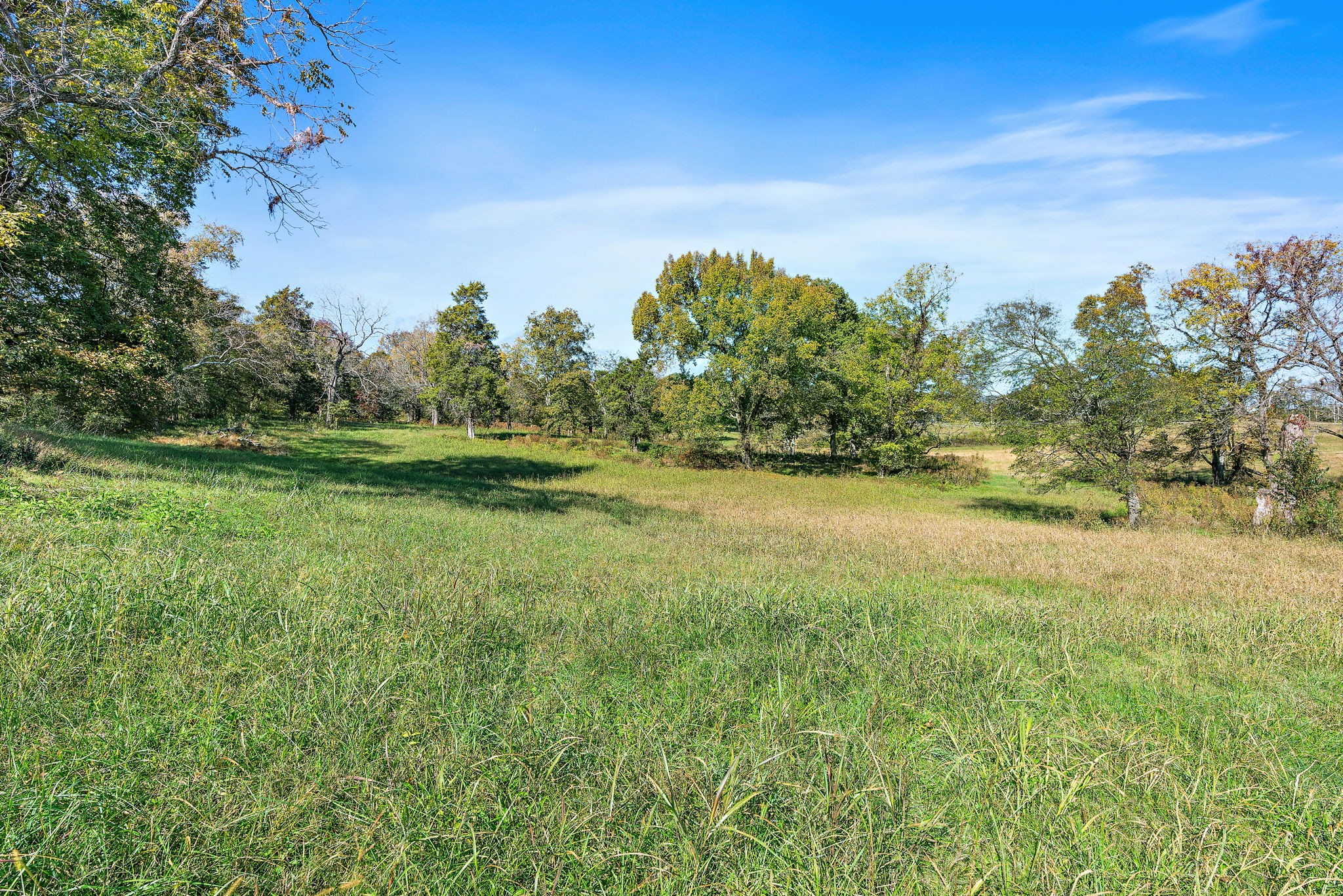 1025 Tulloss Road Franklin, TN 37067 - Photo 11 of 27