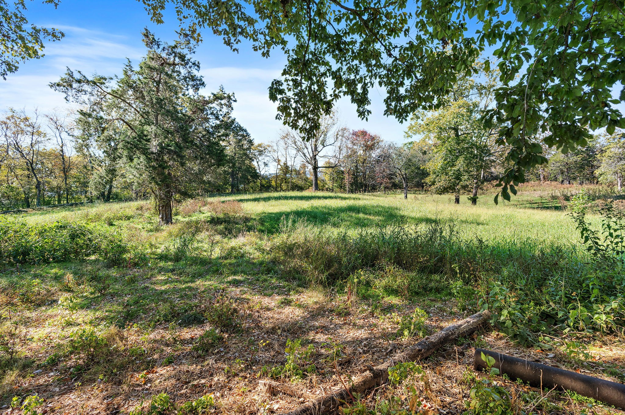 1025 Tulloss Road Franklin, TN 37067 - Photo 16 of 27