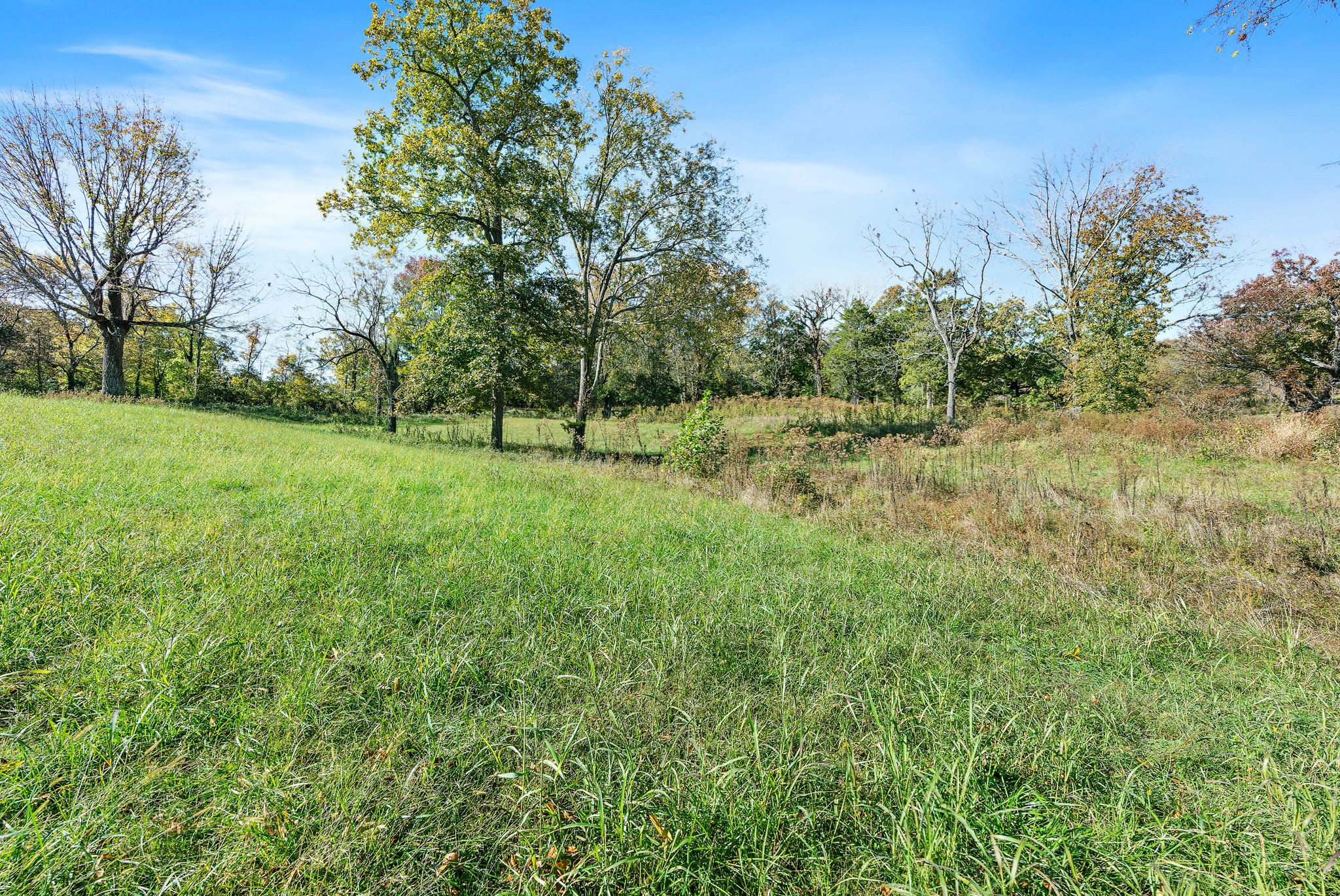 1025 Tulloss Road Franklin, TN 37067 - Photo 17 of 27