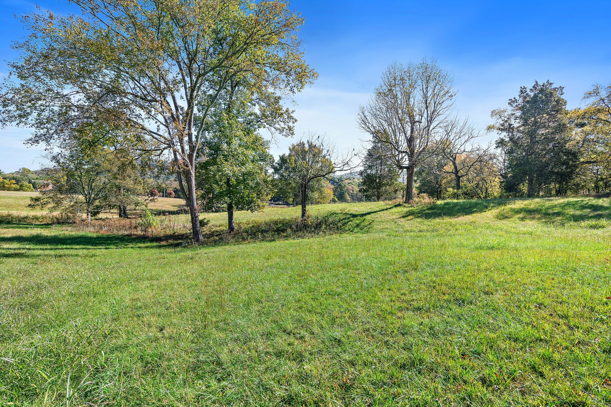 1025 Tulloss Road Franklin, TN 37067 - Photo 20 of 27