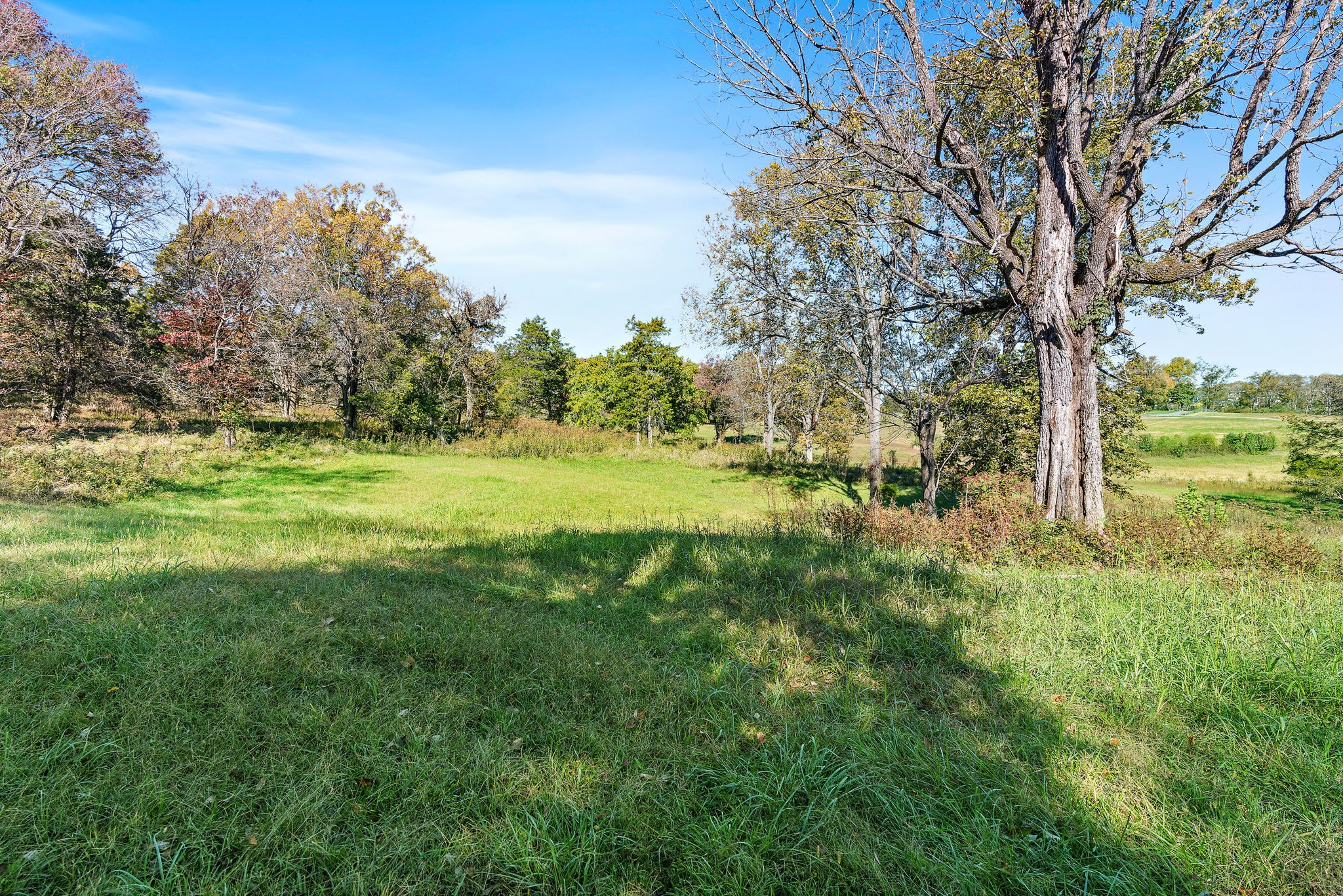 1025 Tulloss Road Franklin, TN 37067 - Photo 22 of 27