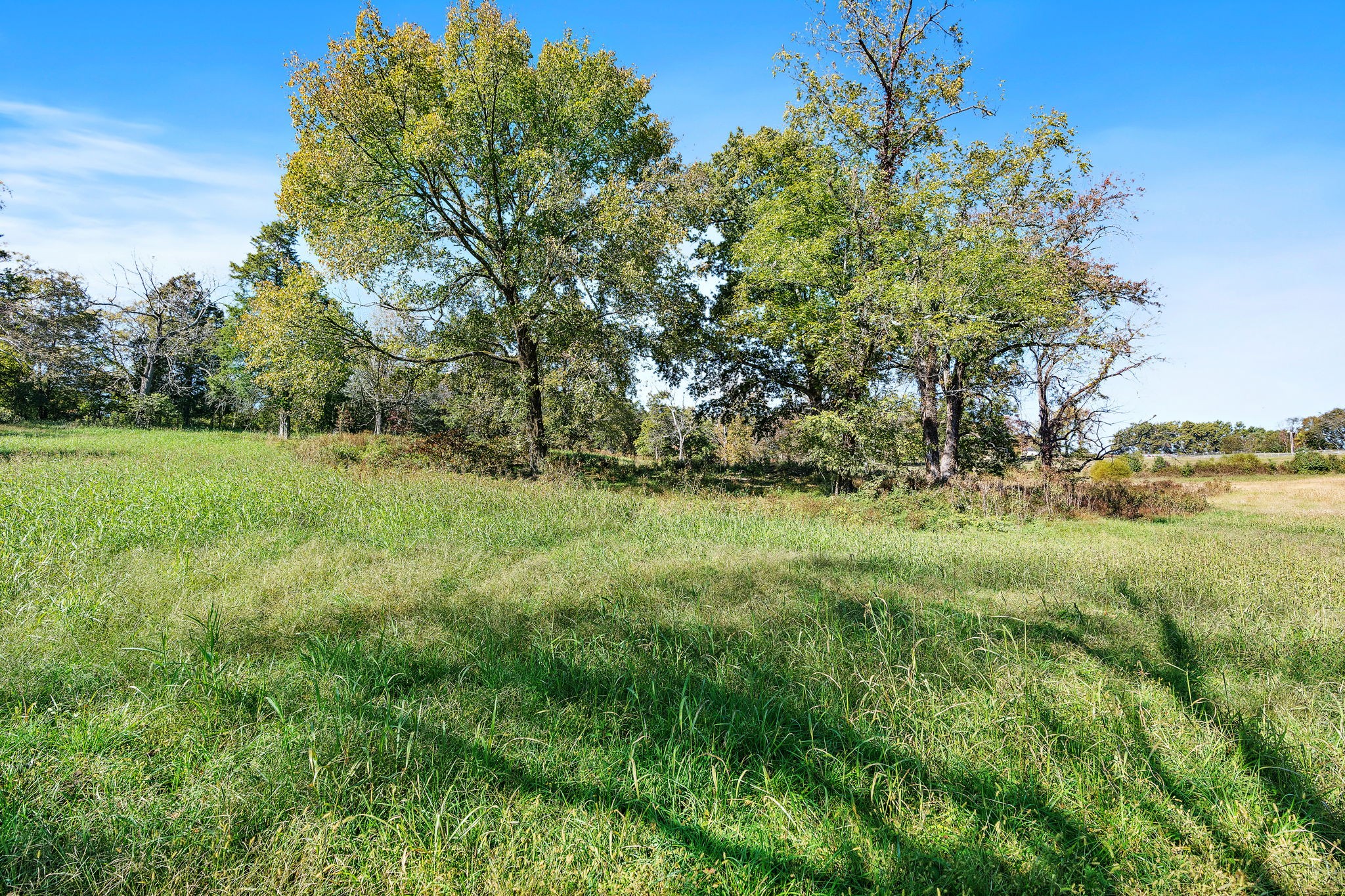 1025 Tulloss Road Franklin, TN 37067 - Photo 27 of 27