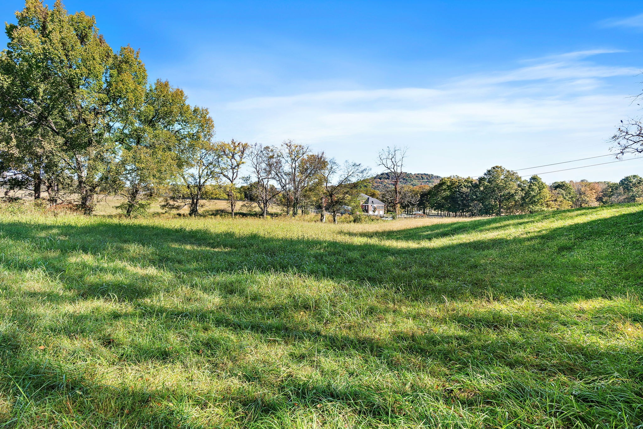 1025 Tulloss Road Franklin, TN 37067 - Photo 9 of 27