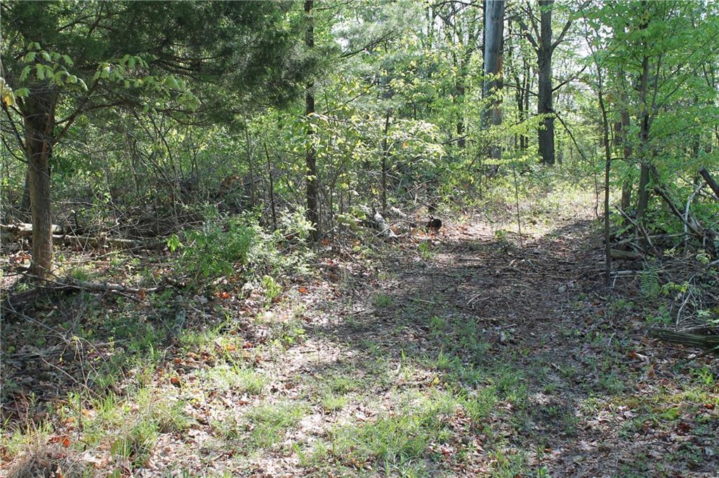 0 West Becks Grove Road Columbus, IN 47201 - Photo 14 of 16