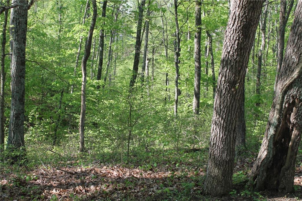 0 West Becks Grove Road Columbus, IN 47201 - Photo 3 of 16