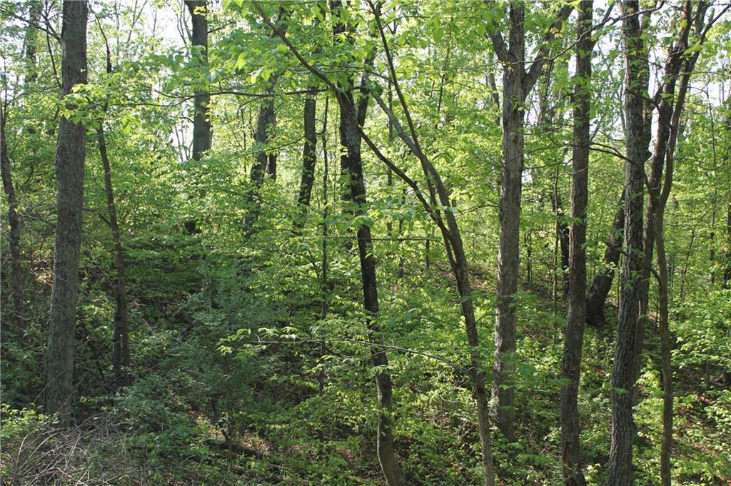 0 West Becks Grove Road Columbus, IN 47201 - Photo 4 of 16
