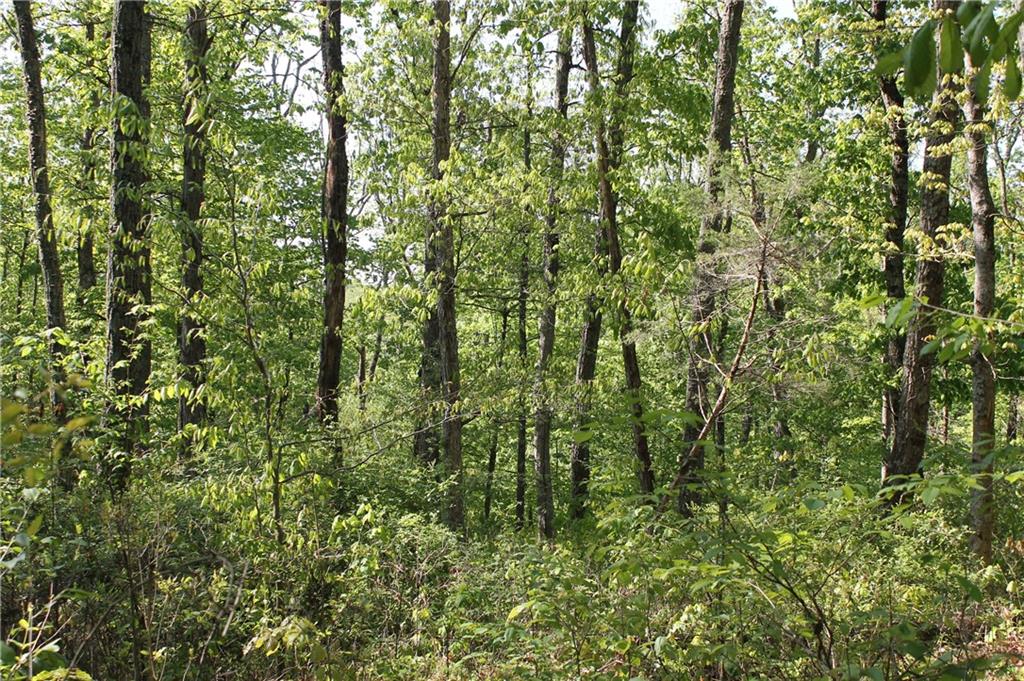 0 West Becks Grove Road Columbus, IN 47201 - Photo 6 of 16
