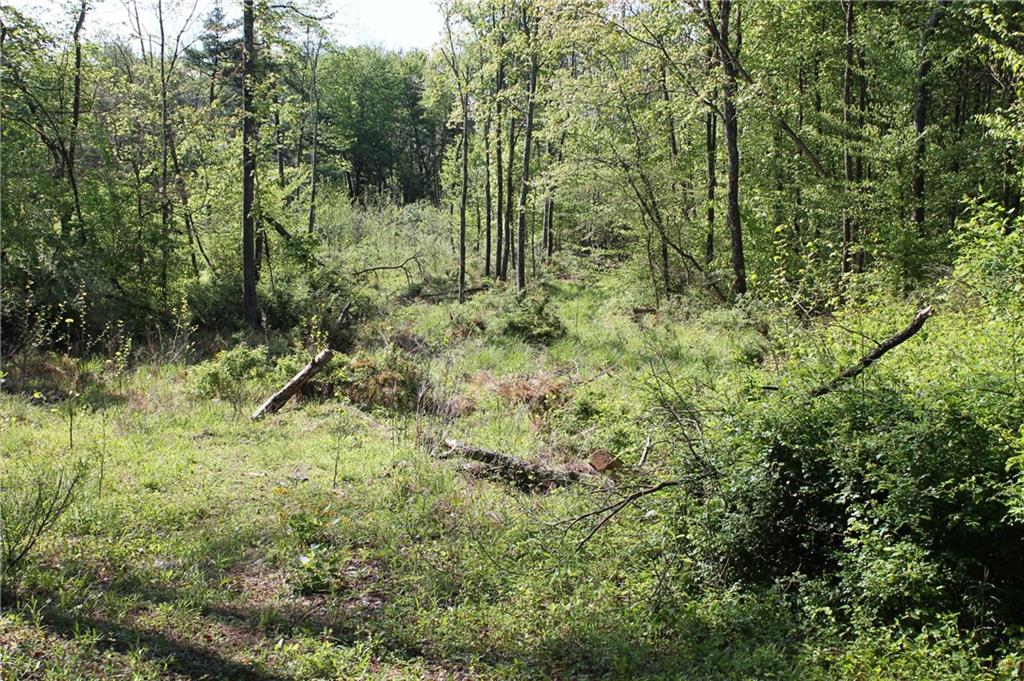 0 West Becks Grove Road Columbus, IN 47201 - Photo 8 of 16