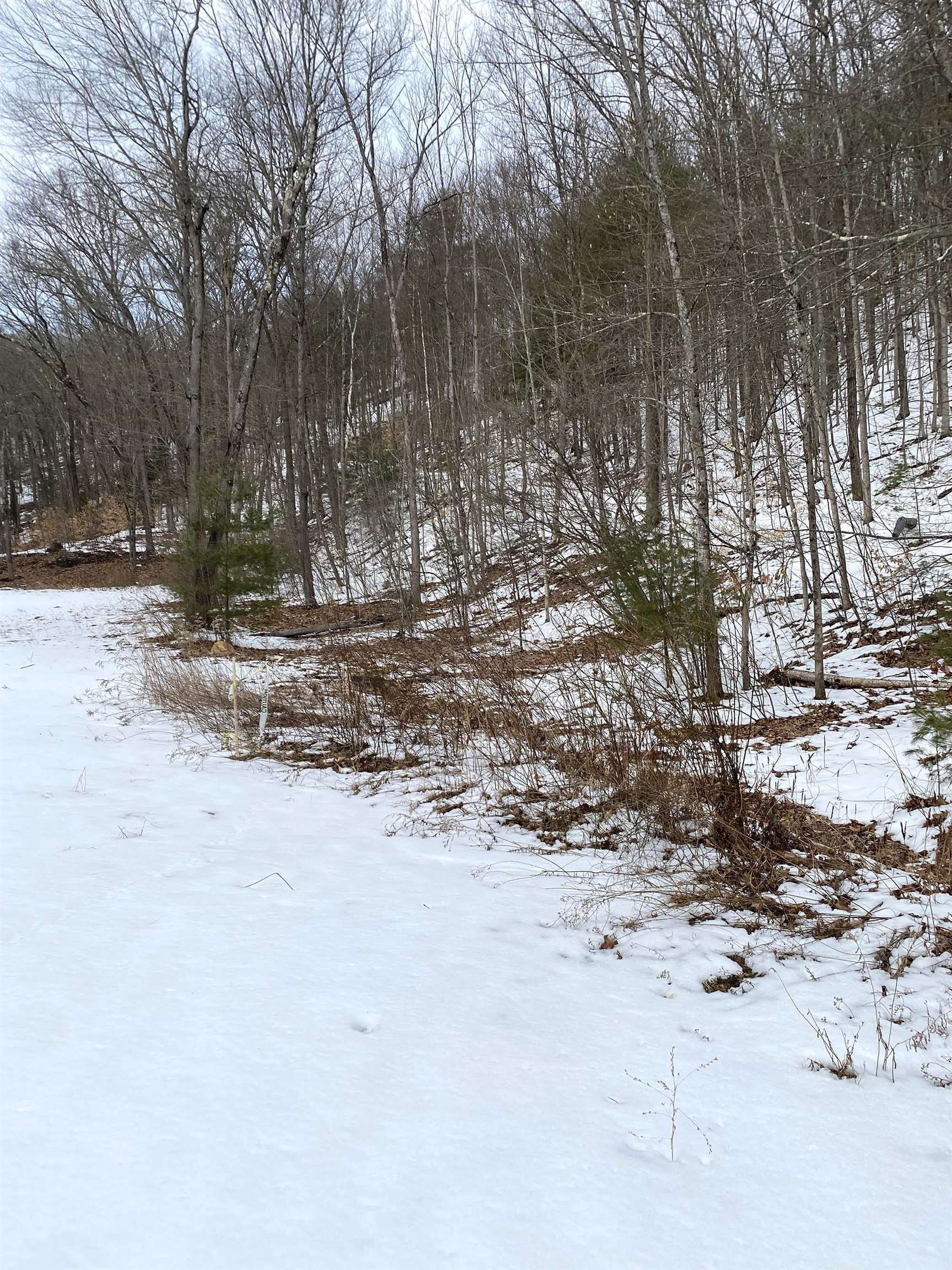 11 Old River Road Rockingham, VT 05101 - Photo 4 of 6