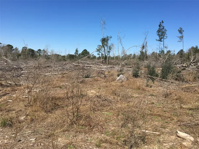 a view of backyard with green space