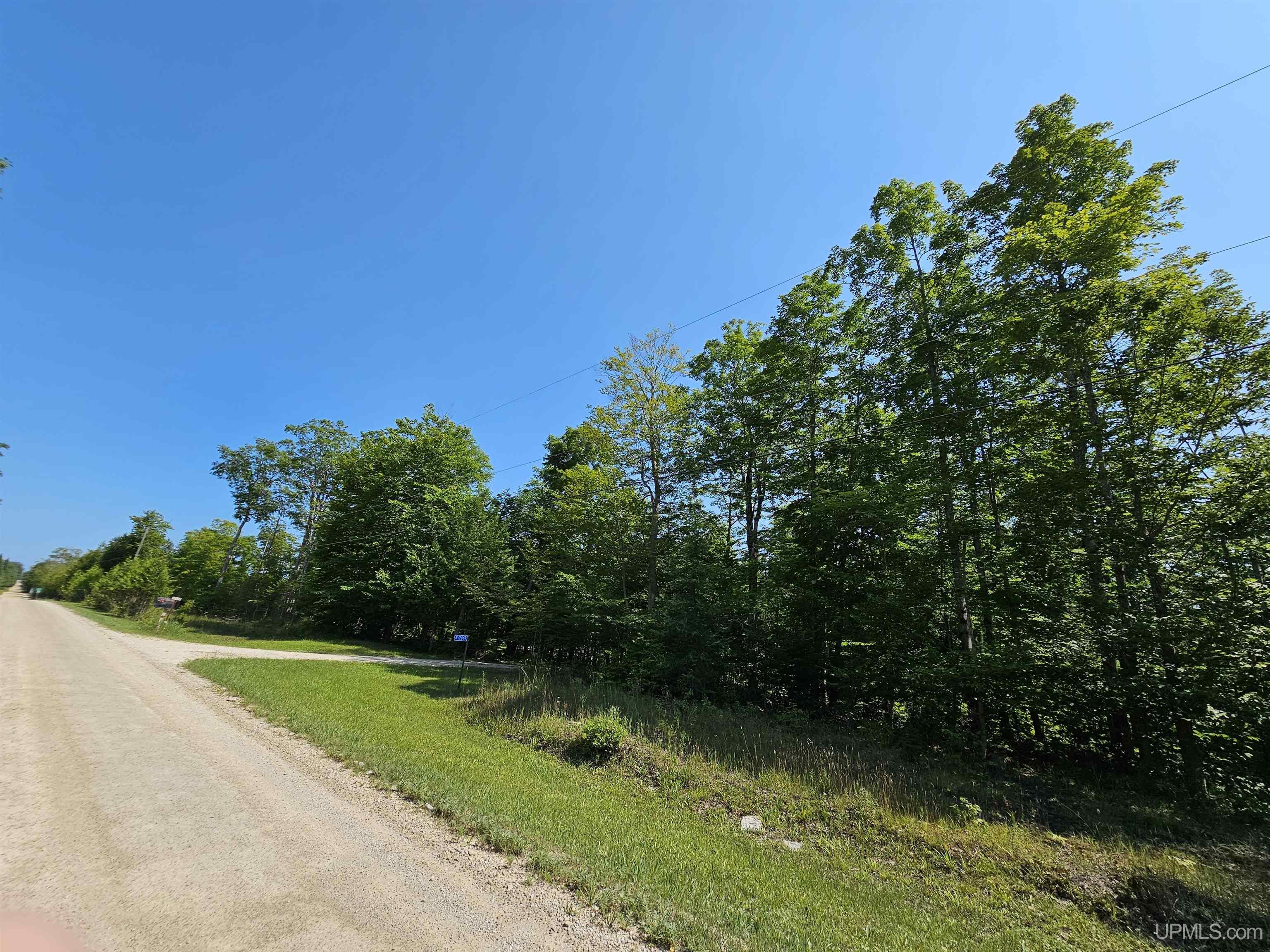 17669 17th Road Garden, MI 49835 - Photo 40 of 56