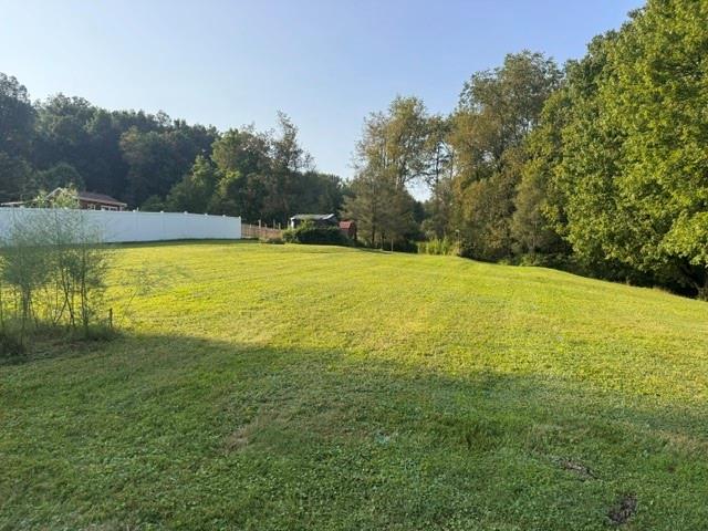 1926 Rte 908 Natrona Heights, PA 15065 - Photo 12 of 33 REAR OF 1..1 ACRES
