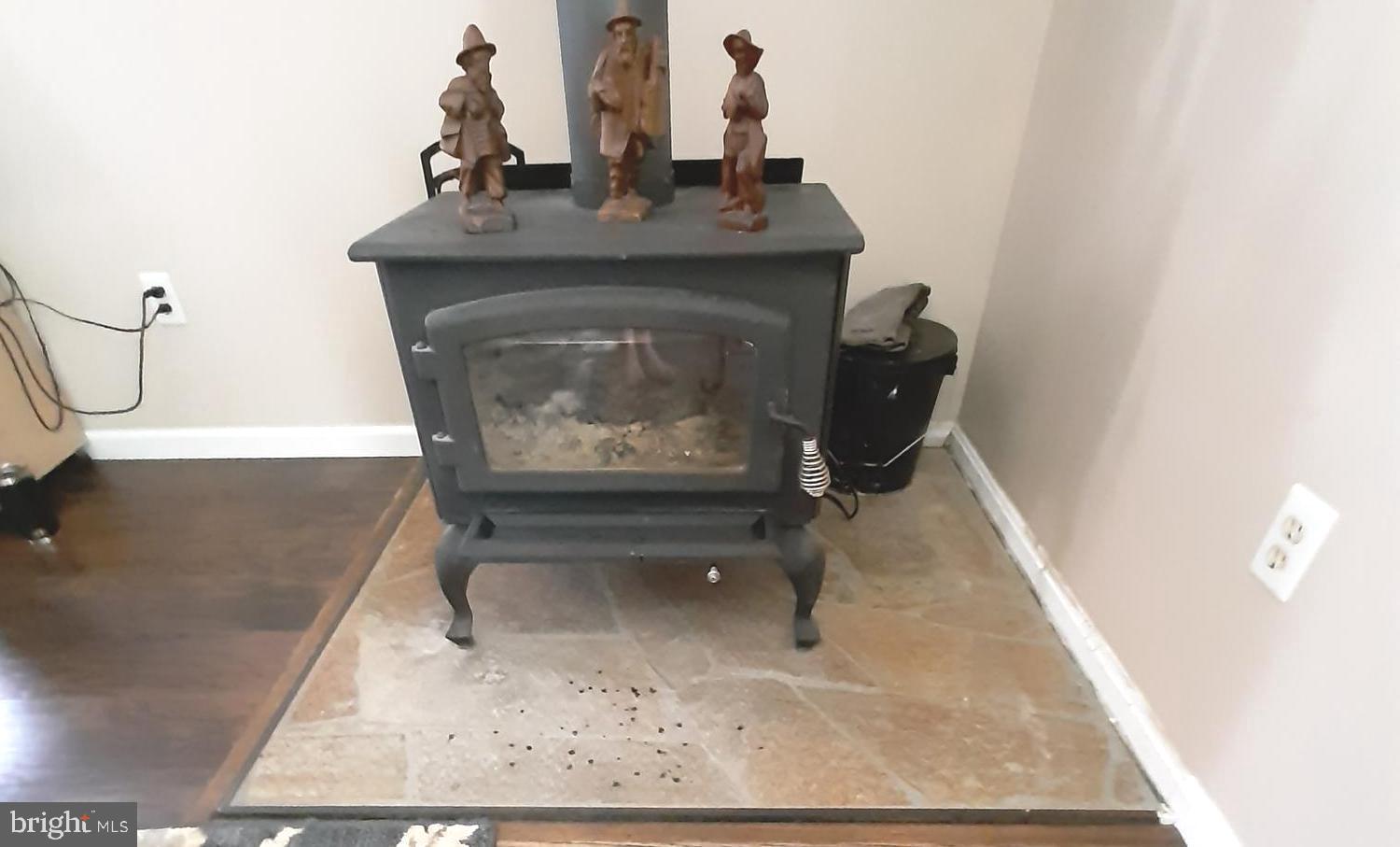 13811 Union Church Road Sumerduck, VA 22742 - Photo 32 of 47 wood stove