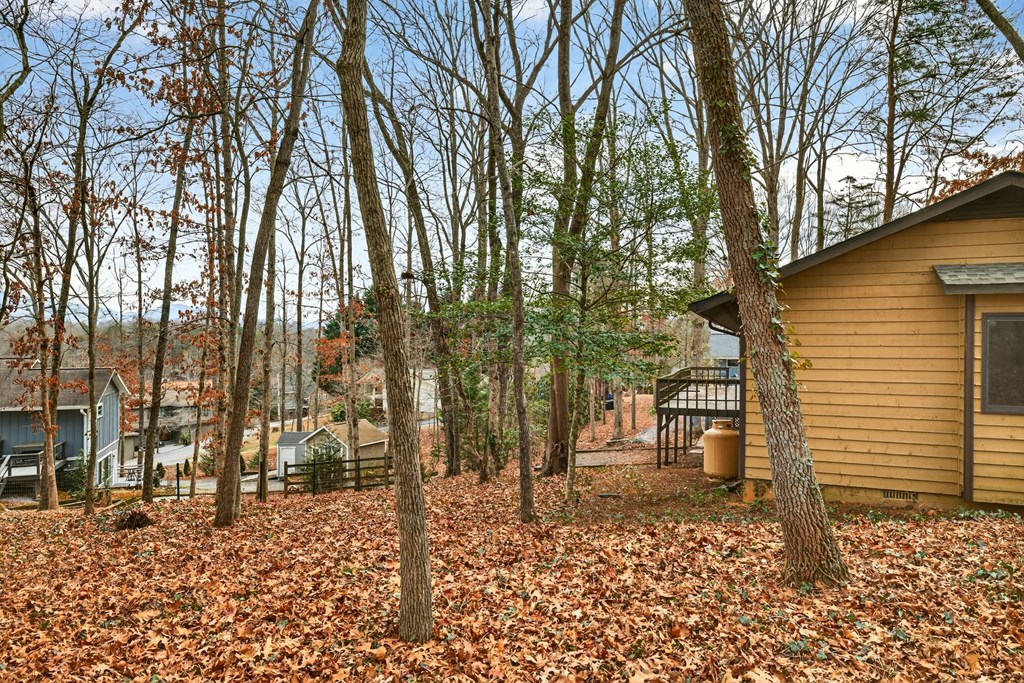 951 McClure Road Hayesville, NC 28904 - Photo 30 of 45 a backyard of a house with lots of green space