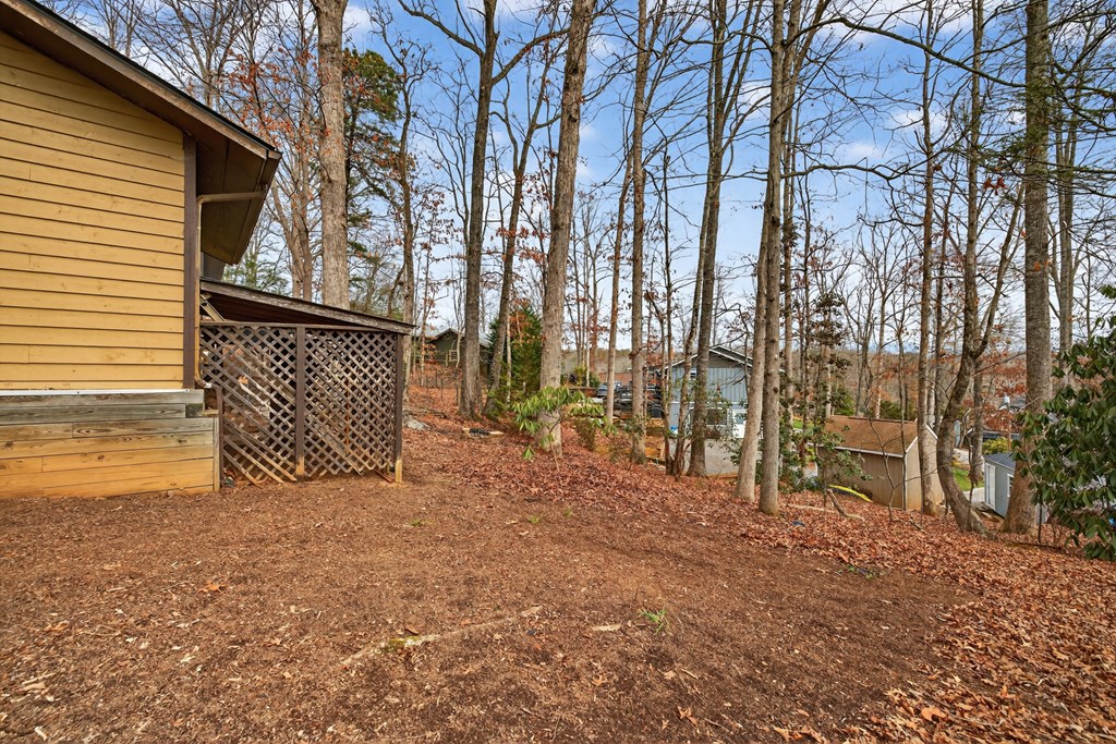 951 McClure Road Hayesville, NC 28904 - Photo 33 of 45 a backyard of a house with lots of green space