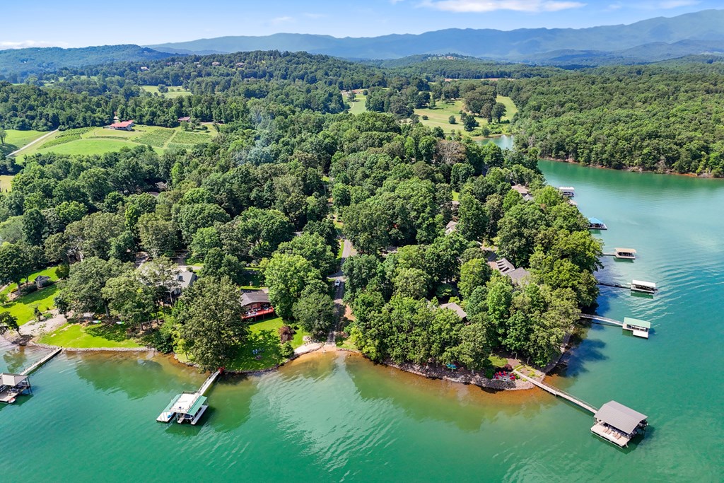 951 McClure Road Hayesville, NC 28904 - Photo 43 of 45 a view of a garden with a house