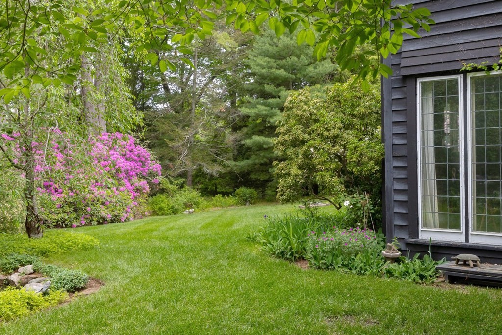 893 Highland Street Hamilton, MA 01982 - Photo 4 of 42 a view of a backyard with potted plants and large tree