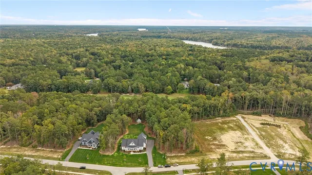 a view of a city with lush green forest