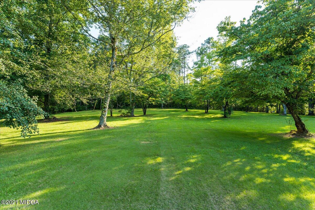 455 Lite-N-Tie Road Gray, GA 31032 - Photo 4 of 47 a view of a park with trees
