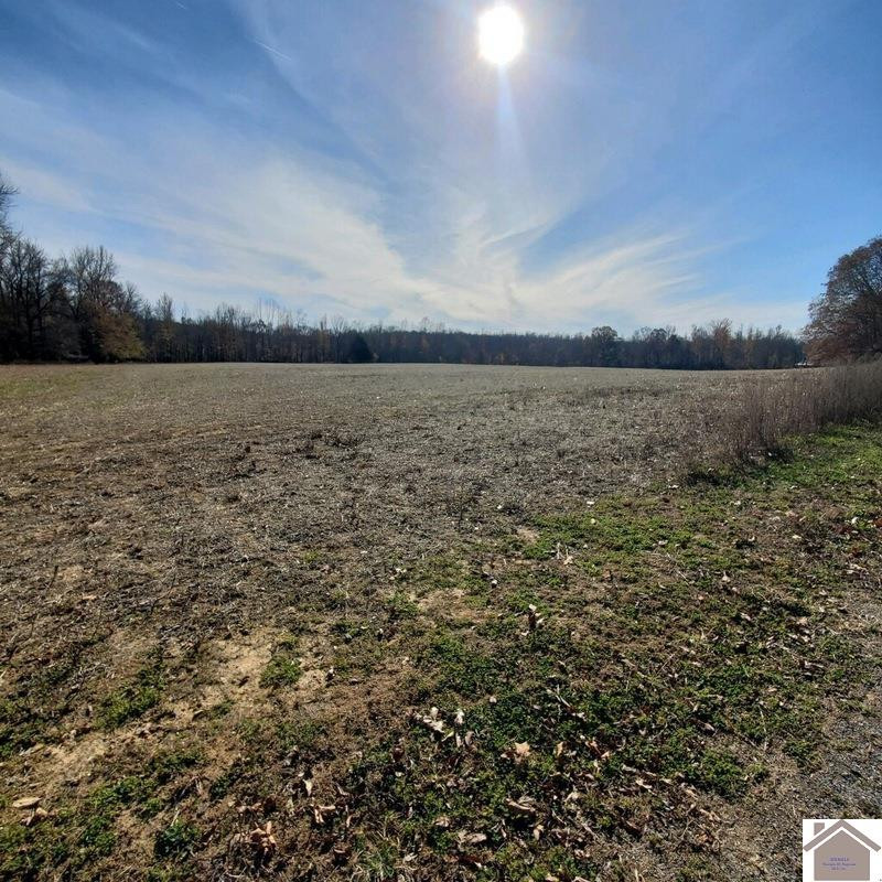 0 East State Line Road West Hazel, KY 42049 - Photo 1 of 1 Photo 1