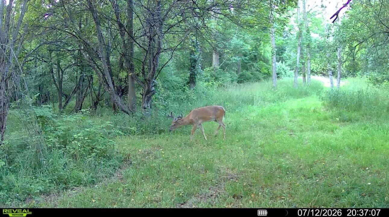 Hagerman Road Leonard, MI 48367 - Photo 45 of 51 T4