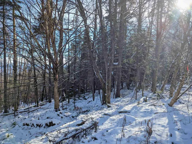 $119,999 | Majestic View Drive, Waterford, VT 05819