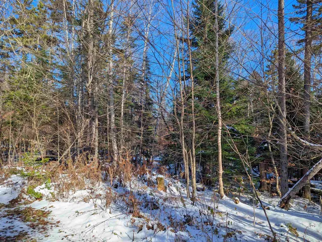 $119,999 | Majestic View Drive, Waterford, VT 05819