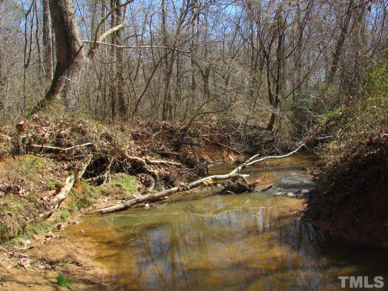 216 Piney Forest Road Roxboro, NC 27574 - Photo 19 of 23 A creek meanders through the property.