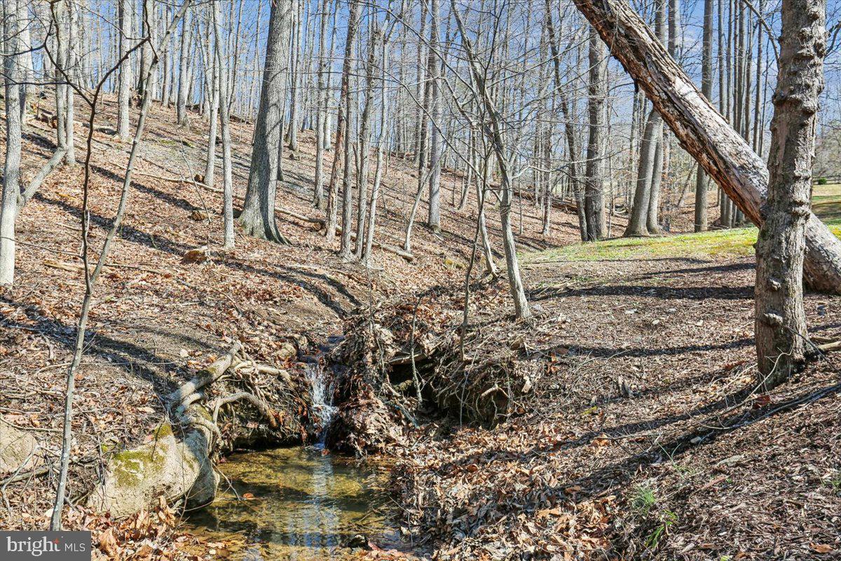 24875 Old Hundred Road Dickerson, MD 20842 - Photo 41 of 47 Grounds