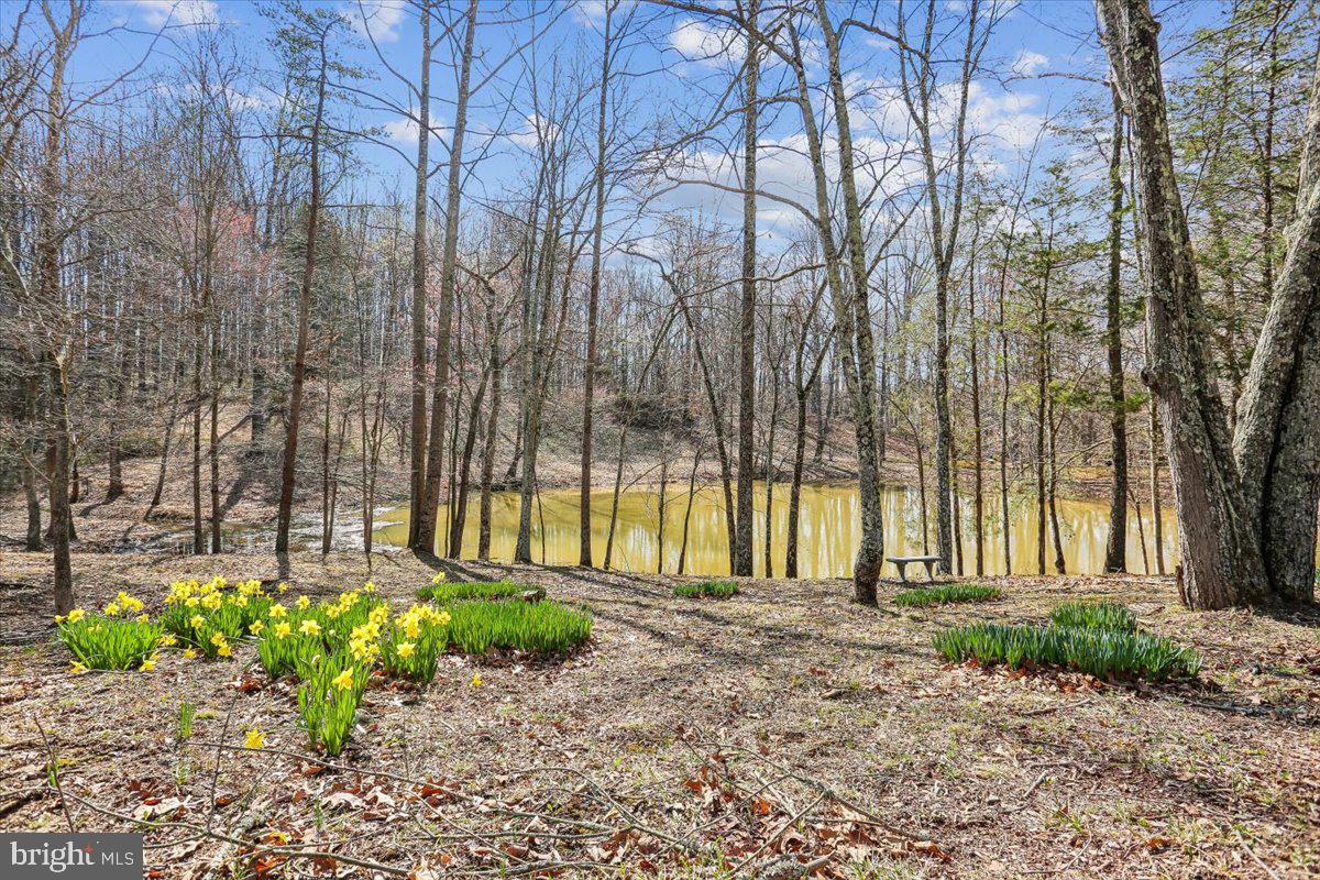 24875 Old Hundred Road Dickerson, MD 20842 - Photo 42 of 47 Grounds