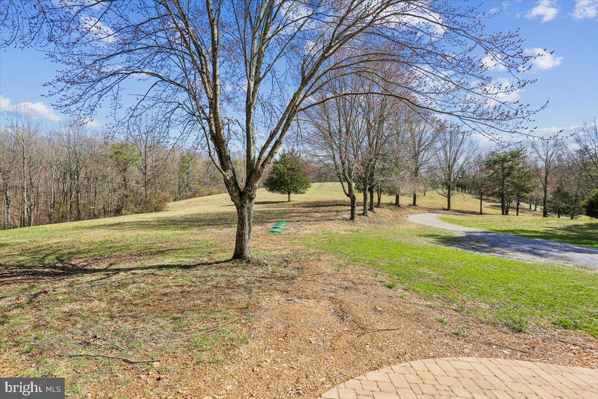 24875 Old Hundred Road Dickerson, MD 20842 - Photo 9 of 47 Views from Deck