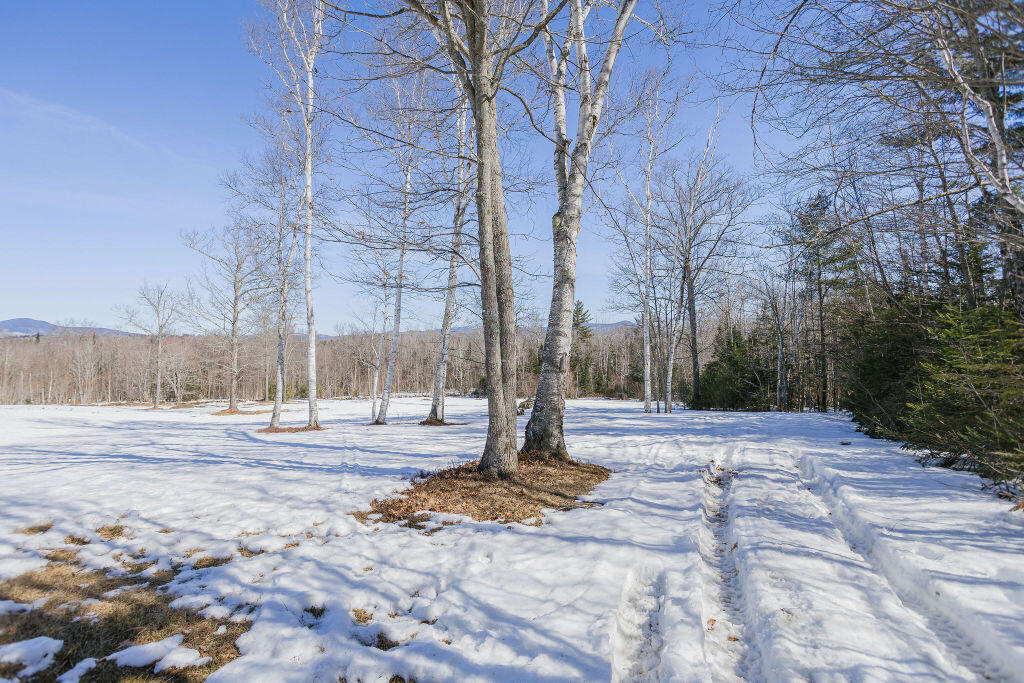 31 Bog Pond Road Phillips, ME 04966 - Photo 74 of 104 taylor-kaminsky-photo-11
