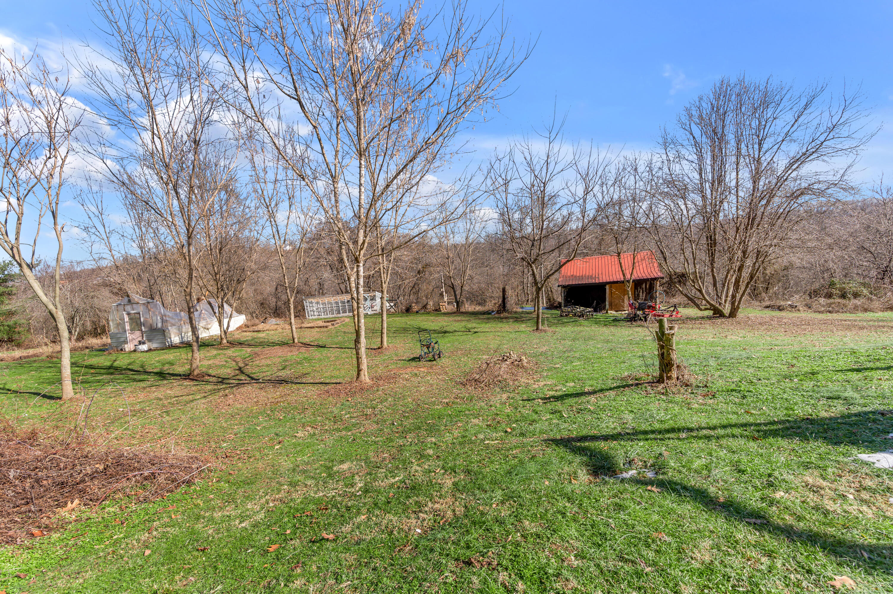 772 Big Cave Road Orlando, KY 40460 - Photo 42 of 59 TDB_6718