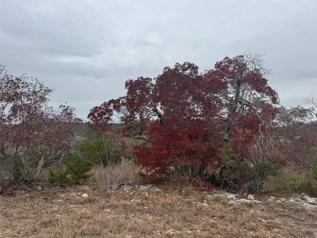 an aerial view of mountain with trees