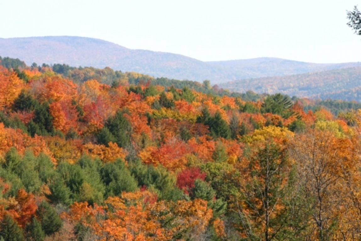 160 Alger Brook Road Strafford, VT 05070 - Photo 1 of 4