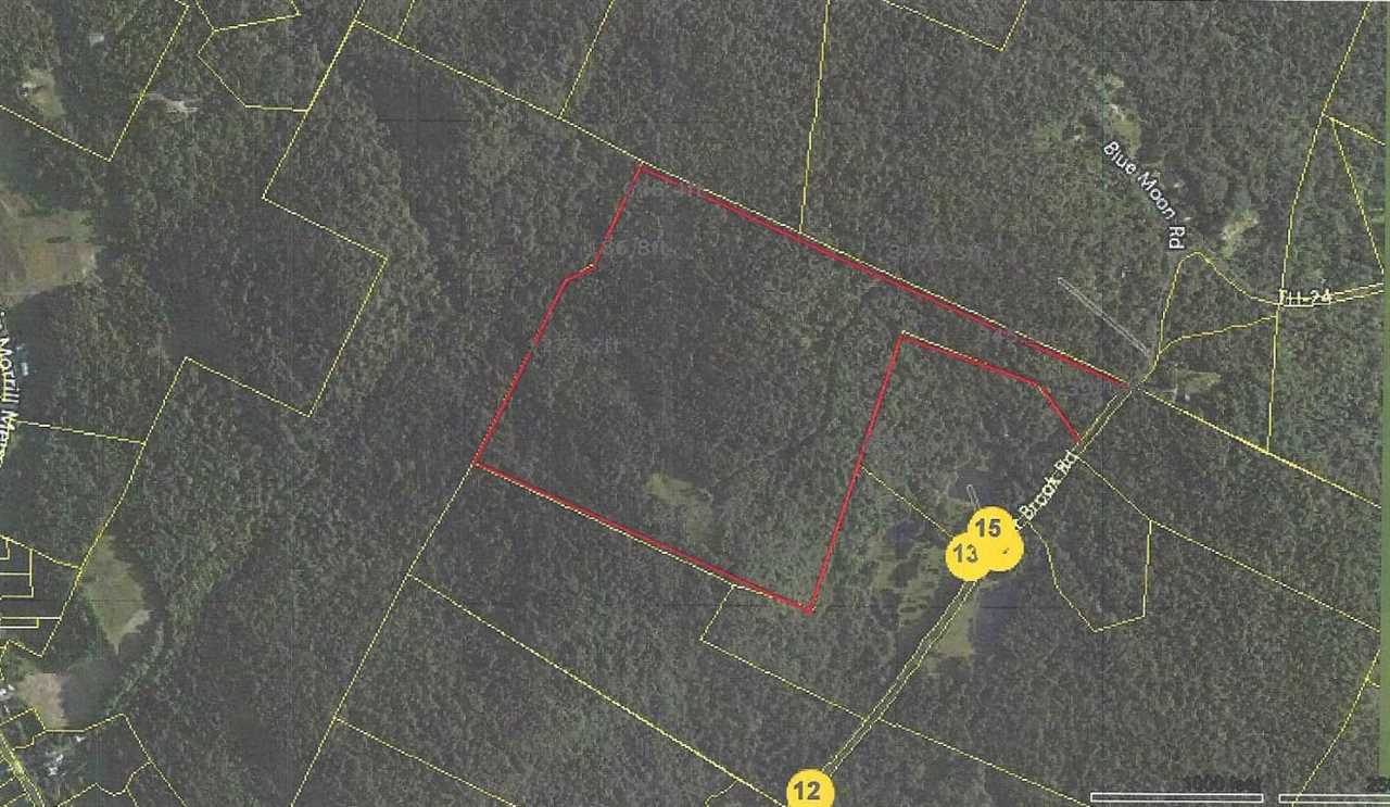 160 Alger Brook Road Strafford, VT 05070 - Photo 4 of 4