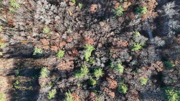 $78,000 | 0 Whitney Road, Unit 132, Henniker, NH 03242