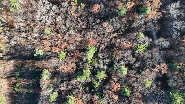 $78,000 | 0 Whitney Road, Unit 132, Henniker, NH 03242