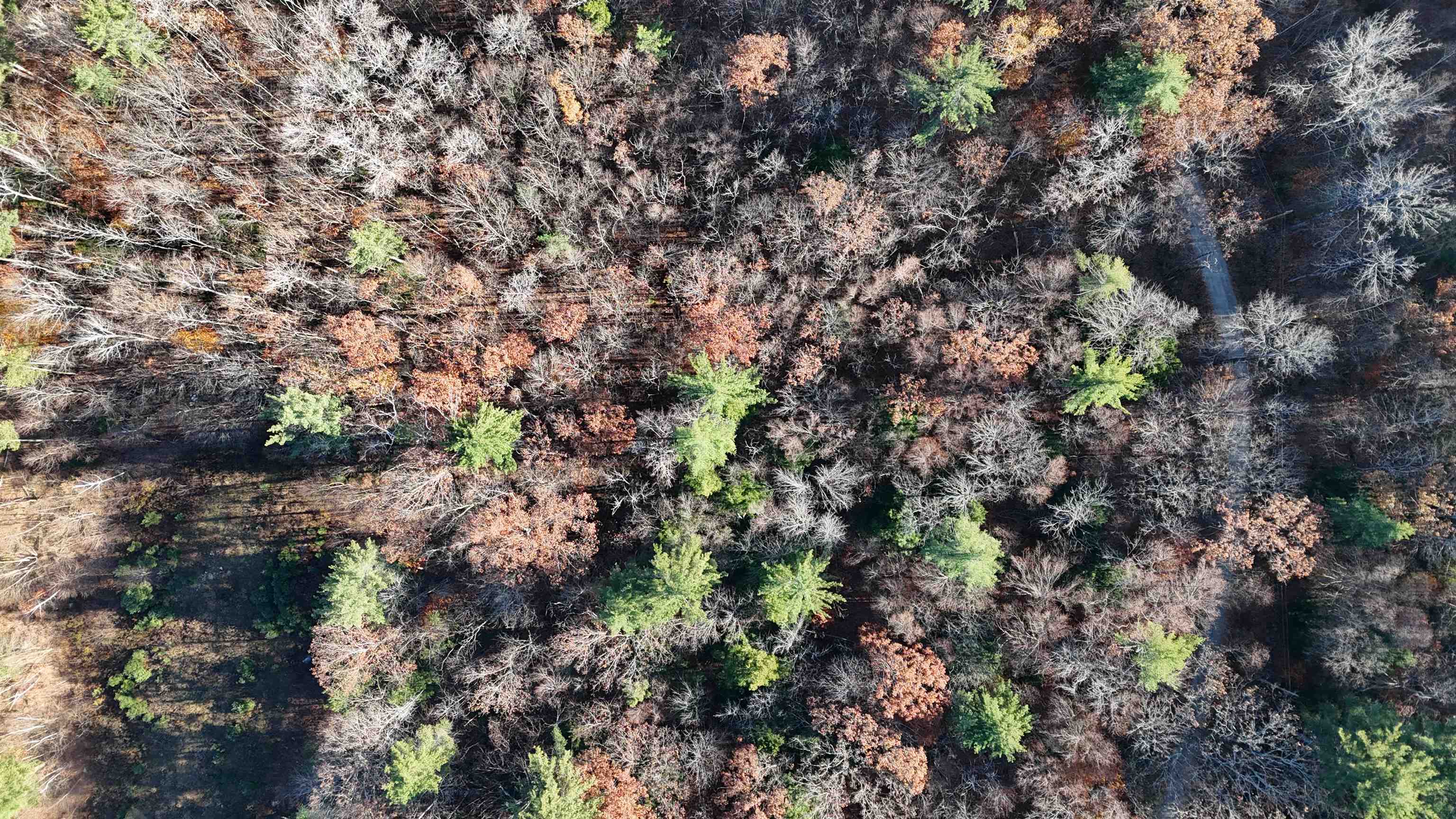 0 Whitney Road, Unit 132 Henniker, NH 03242 - Photo 11 of 20