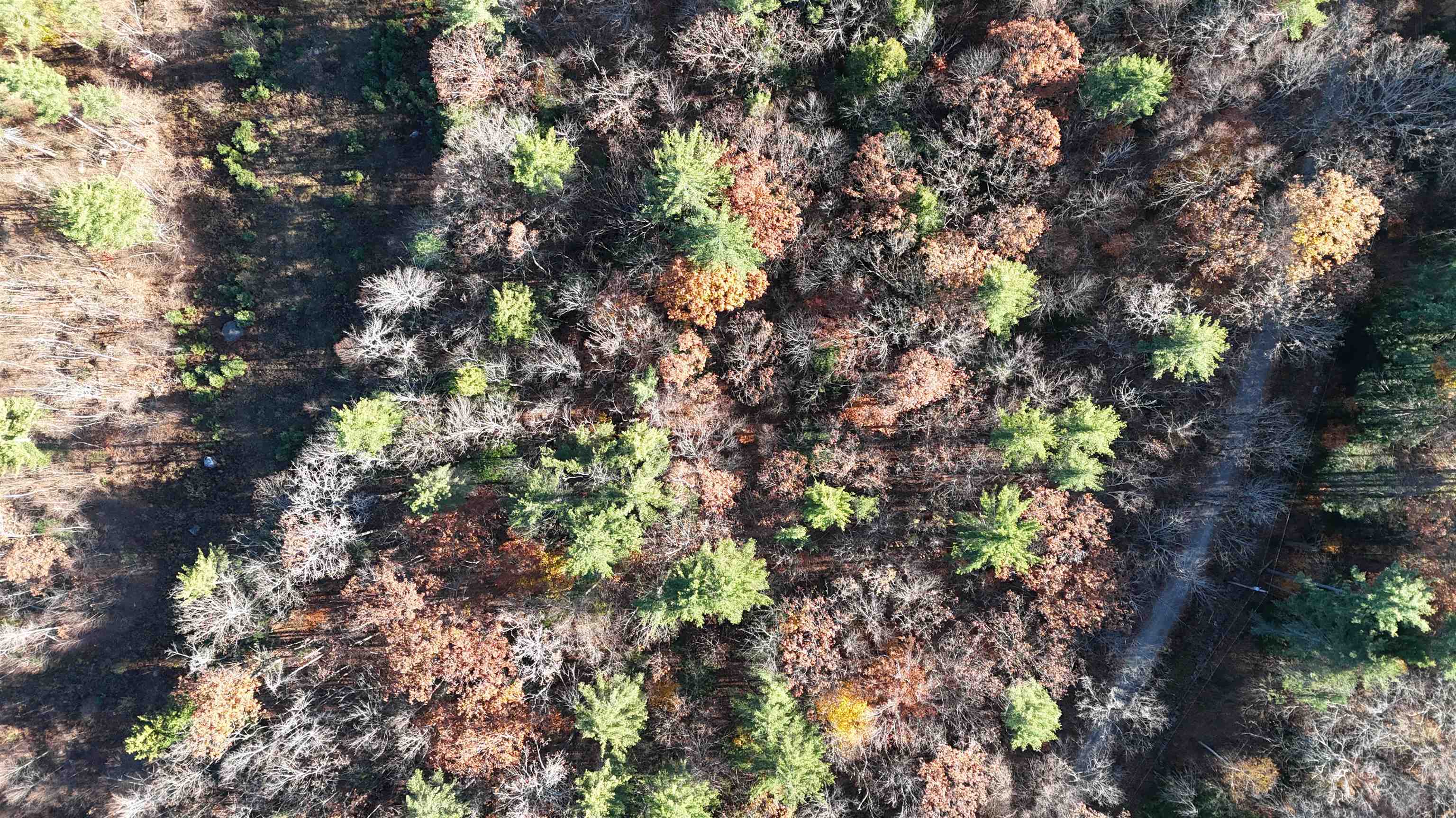 0 Whitney Road, Unit 132 Henniker, NH 03242 - Photo 12 of 20