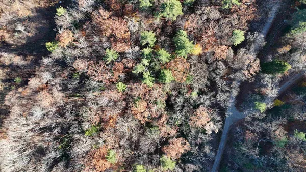 $78,000 | 0 Whitney Road, Unit 132, Henniker, NH 03242