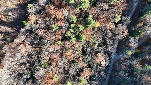 $78,000 | 0 Whitney Road, Unit 132, Henniker, NH 03242