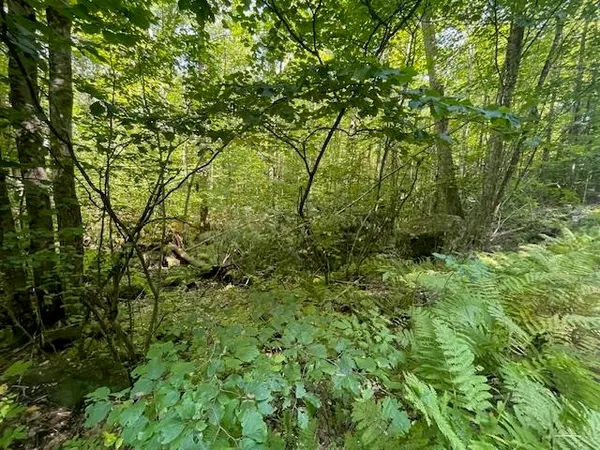 $78,000 | 0 Whitney Road, Unit 132, Henniker, NH 03242