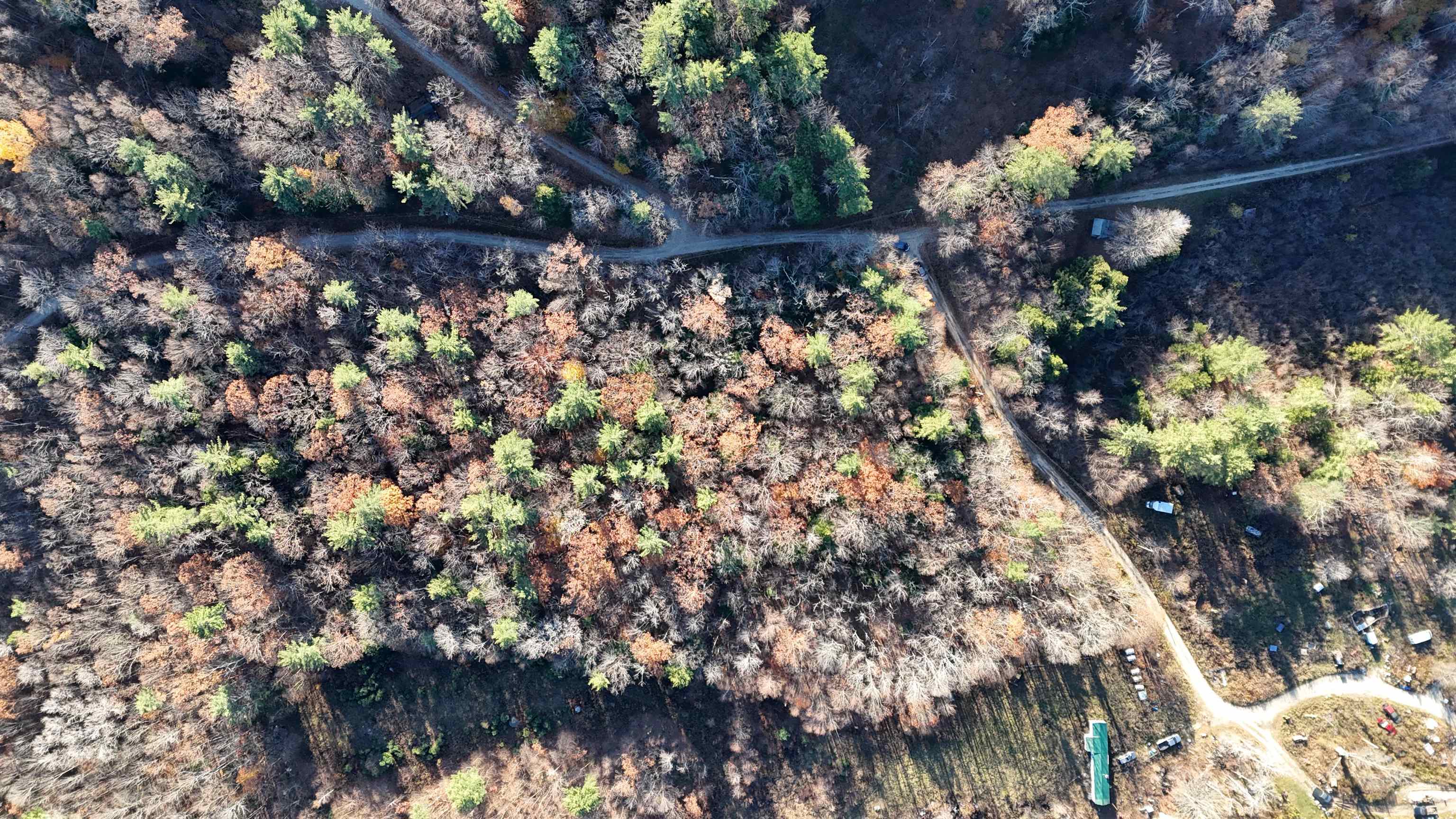 0 Whitney Road, Unit 132 Henniker, NH 03242 - Photo 6 of 20